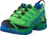 Salomon Xa Pro 3D CSWP J Tonic Green/Gr/Bl