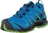 Salomon Xa Pro 3D Gtx Union Blue/Methyl Blue/Gr