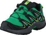 Salomon Xa Pro 3D K Real Green/Black/Gr