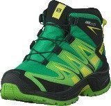 Salomon Xa Pro 3D Mid CSWP K Gr/Tonic Green