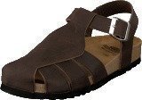 Scholl Sisare Brown