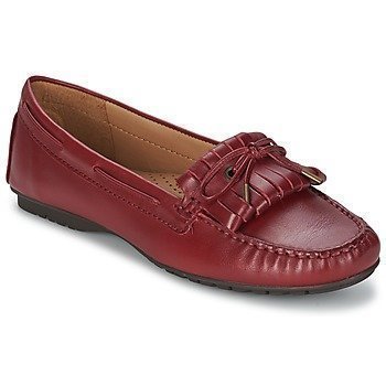 Sebago MERIDEN KILTIE kävelykengät