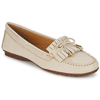 Sebago MERIDEN KILTIE kävelykengät