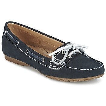 Sebago MERIDEN TWO EYE kävelykengät