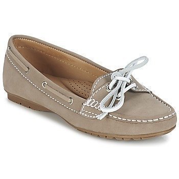 Sebago MERIDEN TWO EYE kävelykengät