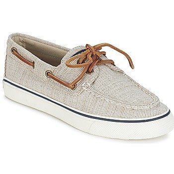 Sperry Top-Sider BAHAMA CANVAS HATCH purjehduskengät