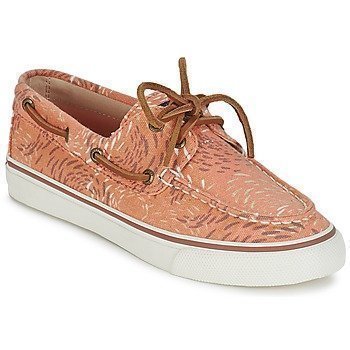 Sperry Top-Sider BAHAMA FISH CIRCLE purjehduskengät