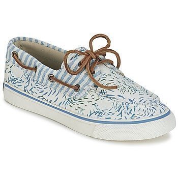 Sperry Top-Sider BAHAMA FISH CIRCLE purjehduskengät