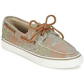 Sperry Top-Sider BAHAMA FISH CIRCLE purjehduskengät