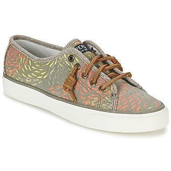 Sperry Top-Sider SEACOAST FISH CIRCLE matalavartiset tennarit