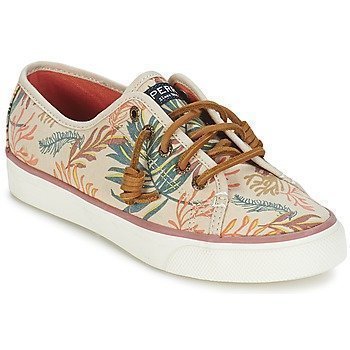 Sperry Top-Sider SEACOAST SEAWEED PRINT matalavartiset tennarit