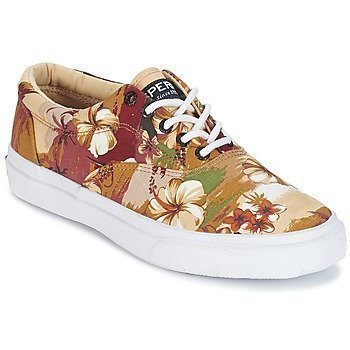 Sperry Top-Sider STRIPER CVO HAWAIIAN matalavartiset tennarit