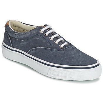 Sperry Top-Sider STRIPER CVO matalavartiset tennarit