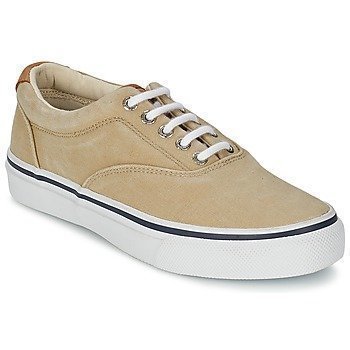 Sperry Top-Sider STRIPER CVO matalavartiset tennarit