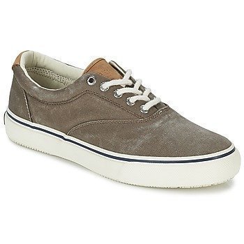 Sperry Top-Sider STRIPER CVO matalavartiset tennarit