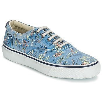 Sperry Top-Sider STRIPER HAWAIIAN matalavartiset tennarit