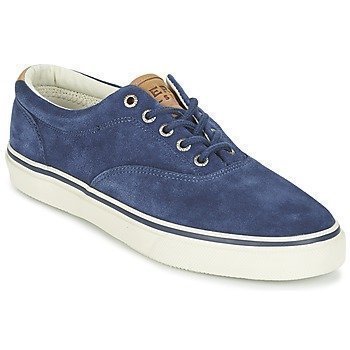 Sperry Top-Sider STRIPER LL CVO SUEDE matalavartiset tennarit