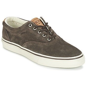 Sperry Top-Sider STRIPER LL CVO SUEDE matalavartiset tennarit