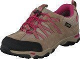 Timberland Trail Force L/F GTX Bunge Greige