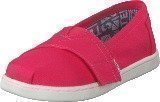 Toms Seasonal Classics Barberry Pink