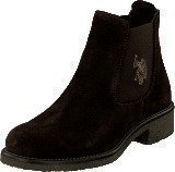 U S Polo Assn Faris 1 Suede Dark Brown